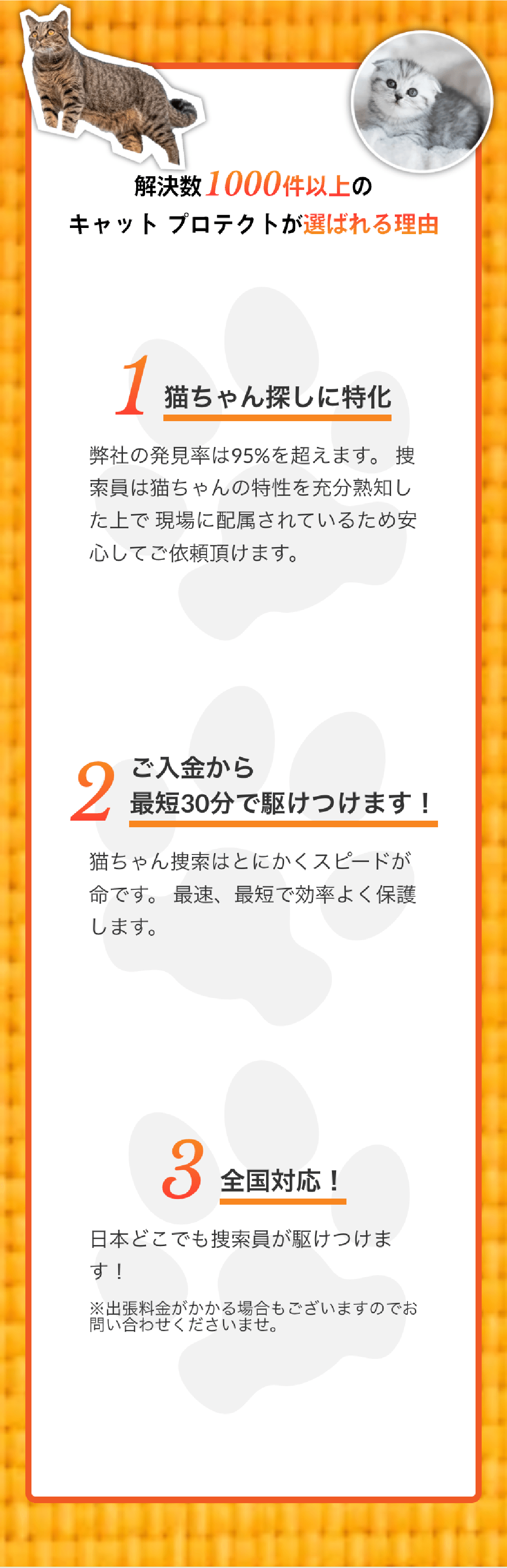 解決数1000件以上の キャットプロテクトが選ばれる理由 1 猫ちゃん探しに特化 弊社の発見率は95%を超えます。 捜索員は猫ちゃんの習性を充分熟知した上で現場に配置されているため安心してご依頼頂けます。 2 ご入金から 最短30分で駆けつけます！ 猫ちゃん捜索はとにかくスピードが命です。 最速、最短で効率よく保護します。 3 全国対応！ 日本中どこでも捜索員が駆けつけます！ ※一部離島など伺えない場合もございますのでお問い合わせくださいませ。