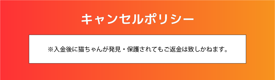 キャンセルポリシー ※入金後に猫ちゃんが発見・保護されてもご返金は致しかねます。